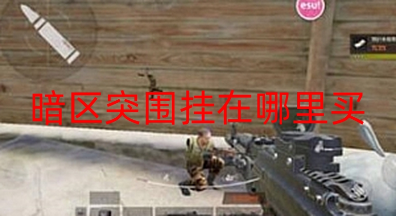 暗区突围挂在哪里买